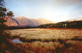 Waterfowl Habitat near Cranbrook